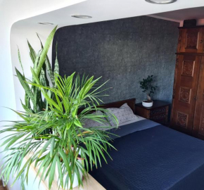 Apartment in Dristor area